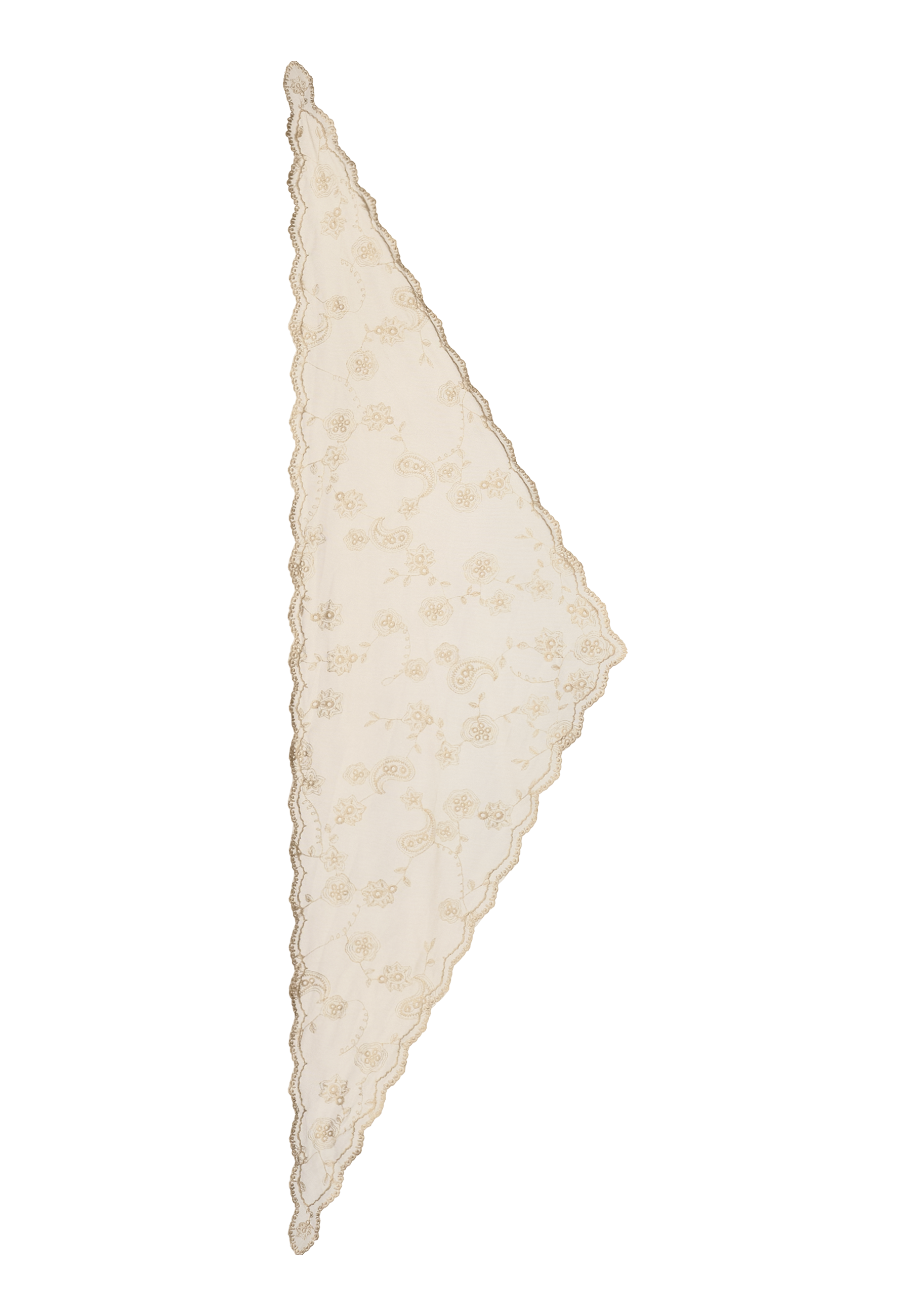 Slidebillede