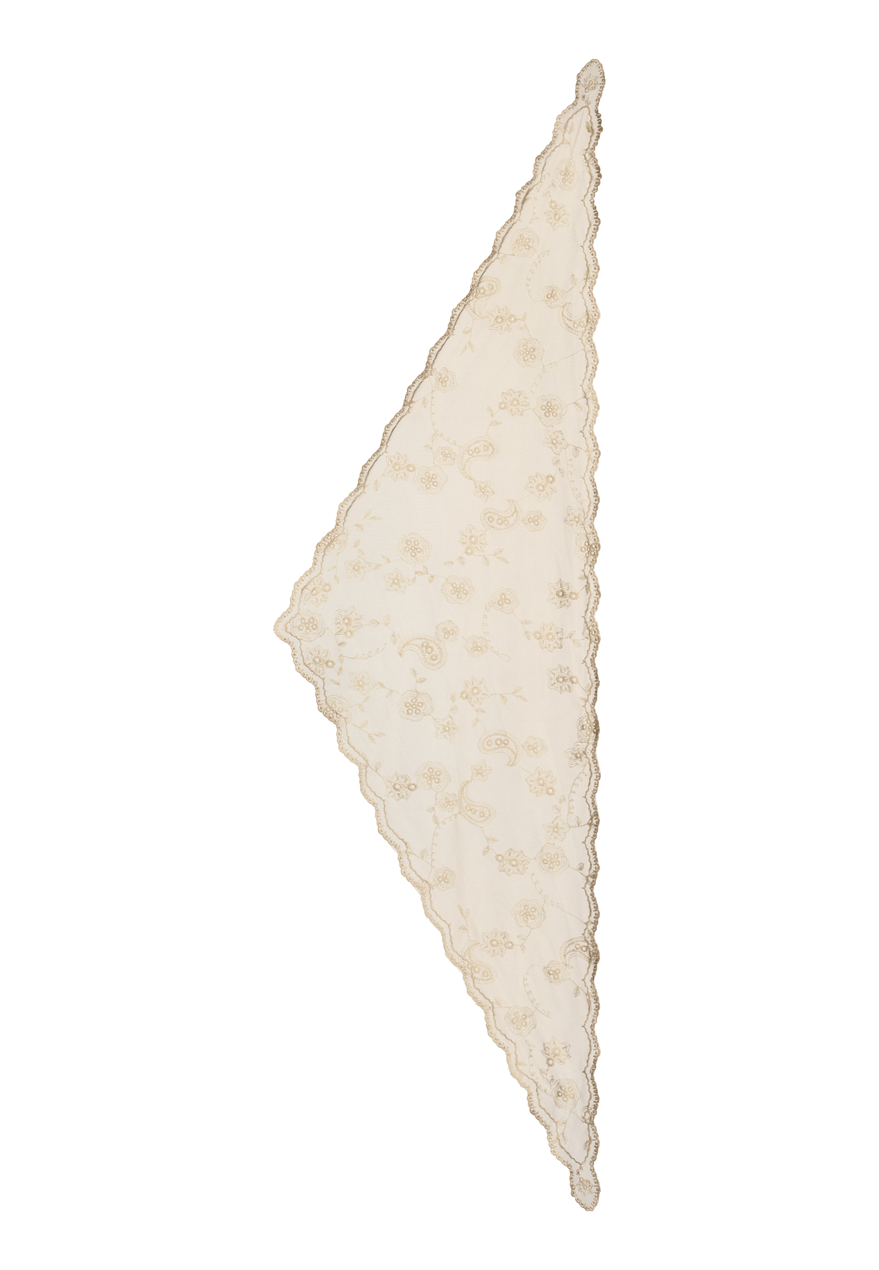 Slidebillede